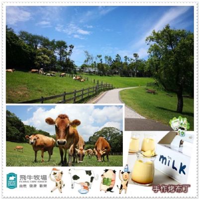 【苗栗】飛牛牧場-單人入園全票+烤布丁3入組