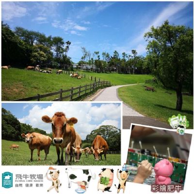 【苗栗】飛牛牧場-單人入園全票+彩繪肥牛DIY