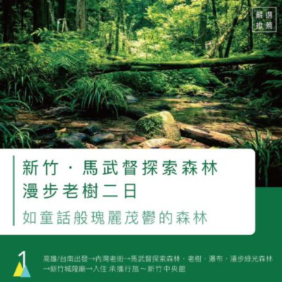 【6-7月】新竹馬武督探索森林·漫步老樹二日