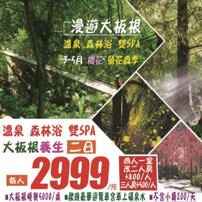 【3-6月】溫泉·森林浴·雙SPA｜大板根養生二日